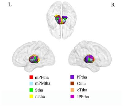 Structural and functional differences of the thalamus between drug-naïve Parkinson’s disease motor subtypes